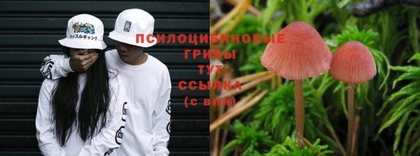 круглые Майский