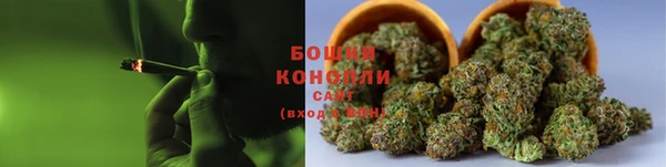 ГАЛЛЮЦИНОГЕННЫЕ ГРИБЫ Липки