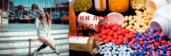 ГАЛЛЮЦИНОГЕННЫЕ ГРИБЫ Липки