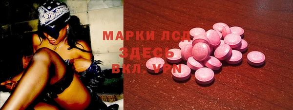 ГАЛЛЮЦИНОГЕННЫЕ ГРИБЫ Липки