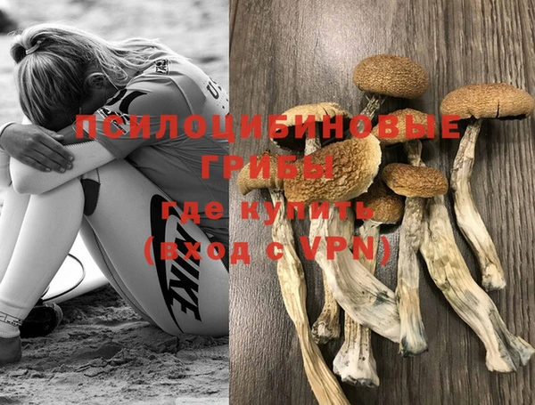 ГАЛЛЮЦИНОГЕННЫЕ ГРИБЫ Липки