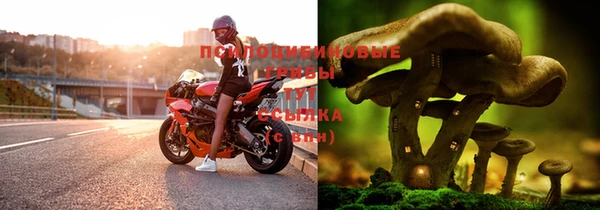 круглые Майский